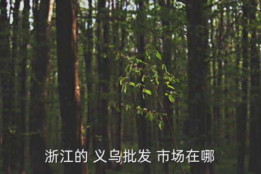 義烏還有哪些體育用品市場(chǎng),中國(guó)小商品城在浙江義烏城市