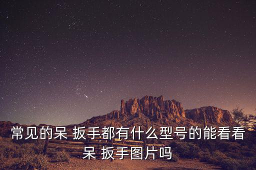 常見的呆 扳手都有什么型號的能看看呆 扳手圖片嗎