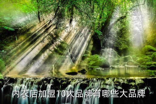  內(nèi)衣店加盟10大品牌有哪些大品牌