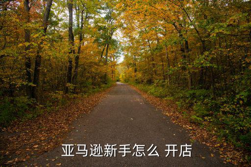  亞馬遜新手怎么 開店