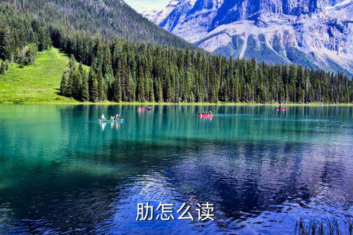 肋木架圖片,第二集:中國(guó)武漢武昌火鍋店出售排骨火鍋