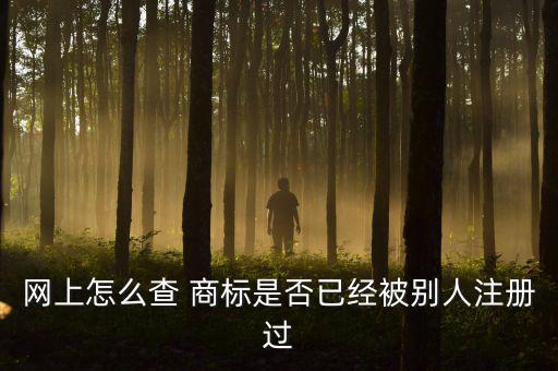 網(wǎng)上怎么查 商標(biāo)是否已經(jīng)被別人注冊(cè)過