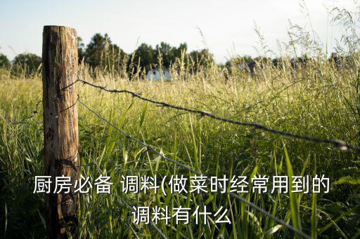  廚房必備 調(diào)料(做菜時(shí)經(jīng)常用到的 調(diào)料有什么