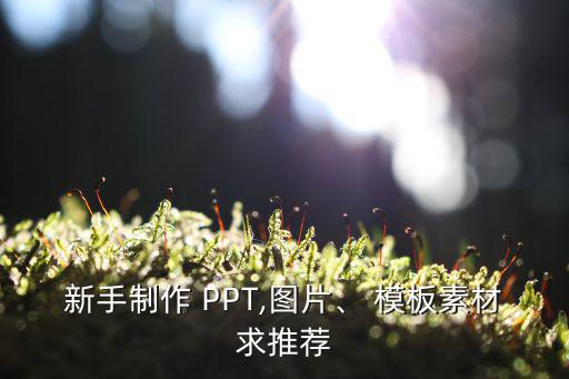 新手制作 PPT,圖片、 模板素材求推薦
