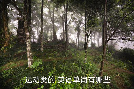 運動商店的英語,這些運動都是什么?