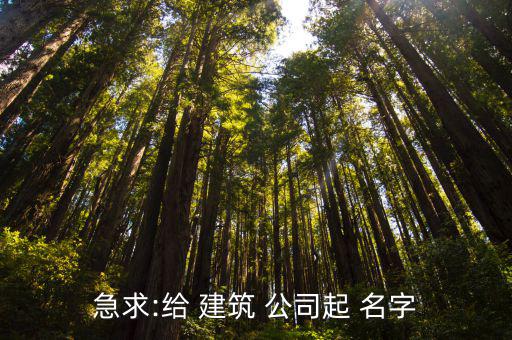 建筑公司名字大全參考四個(gè)字,建筑公司名字解說(shuō)書(shū)一文看懂