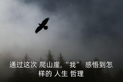 通過(guò)這次 爬山崖,“我” 感悟到怎樣的 人生 哲理
