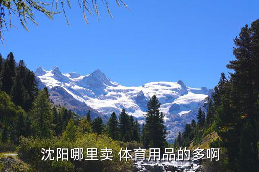 沈陽(yáng)體育器材批發(fā)市場(chǎng)在哪里啊,武漢體育用品搶購(gòu)熱潮