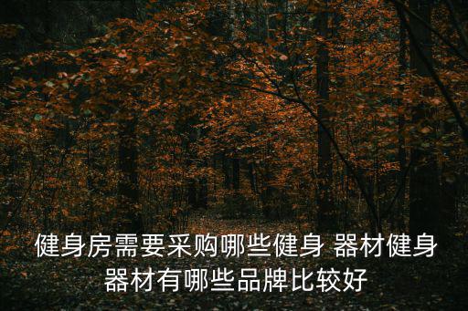  健身房需要采購哪些健身 器材健身 器材有哪些品牌比較好