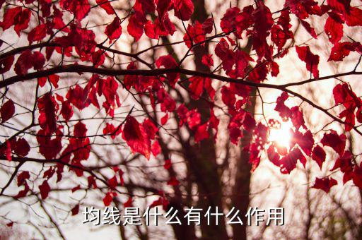 股票均線是什么意思,從均線走勢(shì)看股價(jià)的運(yùn)行趨勢(shì)