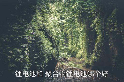 鋰電池和 聚合物鋰電池哪個(gè)好