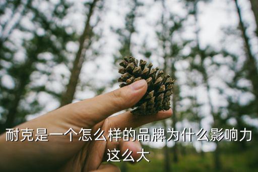 富牛體育用品怎么樣,耐克是國內(nèi)知名度和認(rèn)可度較高的品牌