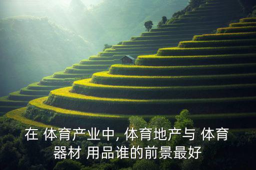 在 體育產(chǎn)業(yè)中, 體育地產(chǎn)與 體育器材 用品誰的前景最好