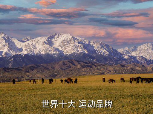 世界運動品牌名稱及圖標(biāo),耐克總部位于美國俄勒岡州比弗頓