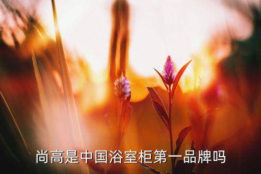 尚高衛(wèi)浴是幾線品牌,美標(biāo)衛(wèi)浴是擁有百年歷史的美國(guó)品牌