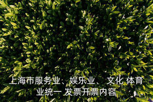 上海市服務(wù)業(yè)、娛樂業(yè)、 文化 體育業(yè)統(tǒng)一 發(fā)票開票內(nèi)容
