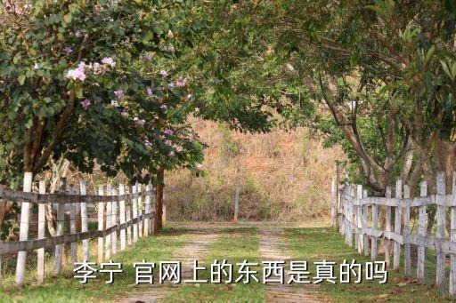  李寧 官網上的東西是真的嗎