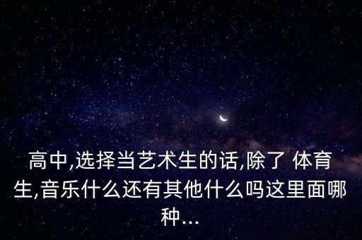 高中,選擇當(dāng)藝術(shù)生的話,除了 體育生,音樂(lè)什么還有其他什么嗎這里面哪種...