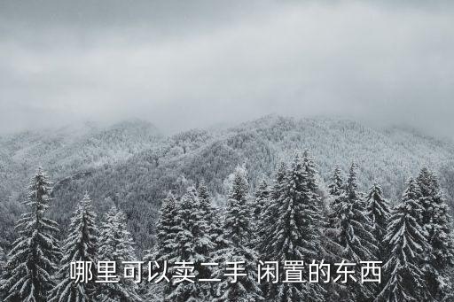 閑置物品交易平臺,閑魚轉(zhuǎn)讓二手物品交易平臺