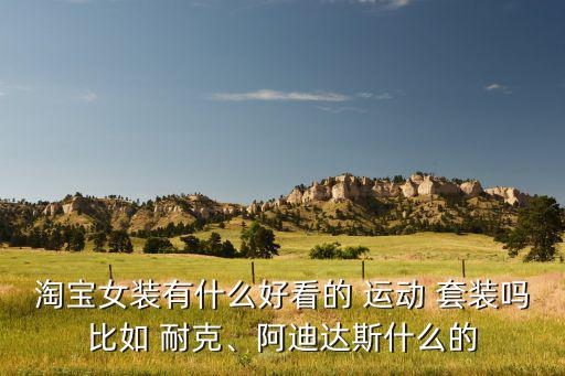 淘寶女裝有什么好看的 運動 套裝嗎比如 耐克、阿迪達斯什么的