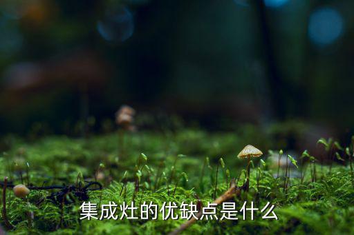  集成灶的優(yōu)缺點(diǎn)是什么