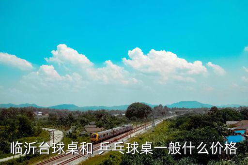 臨沂臺球桌和 乒乓球桌一般什么價格