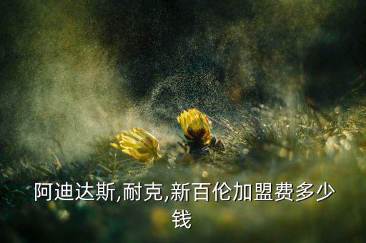  阿迪達(dá)斯,耐克,新百倫加盟費(fèi)多少錢