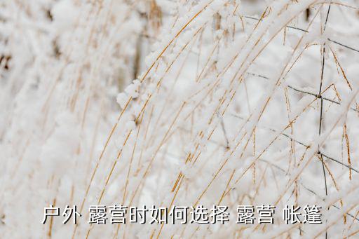 戶外帳篷圖片露營圖,戶外必備帳篷知多少?