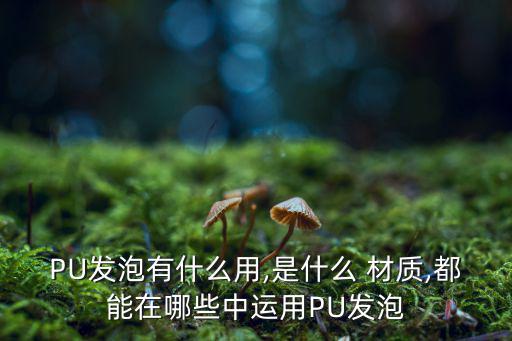 PU發(fā)泡有什么用,是什么 材質(zhì),都能在哪些中運用PU發(fā)泡