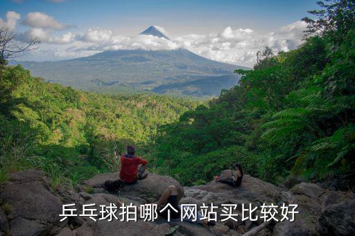  乒乓球拍哪個(gè)網(wǎng)站買比較好
