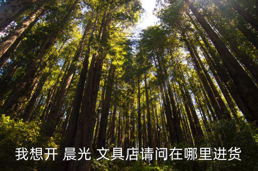 我想開 晨光 文具店請問在哪里進貨