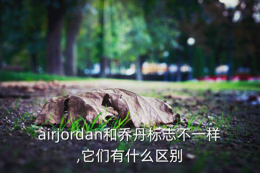 體育公司logo設(shè)計,體育icon設(shè)計延續(xù)奧運(yùn)圣火概念