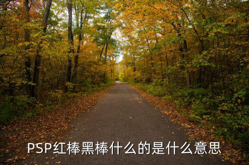 白紅棒是什么體育用品,堅(jiān)果類能量棒有何不同?