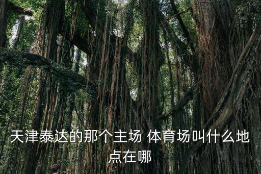 體育圖片,天津泰達足球隊主場體育場館名稱揭曉