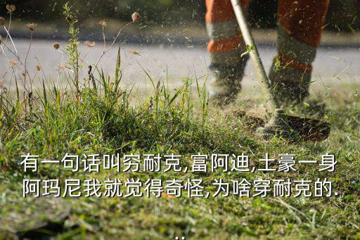 窮不窮看鞋,窮穿耐克富穿阿迪?笑話!