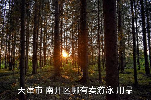 天津市 南開區(qū)哪有賣游泳 用品