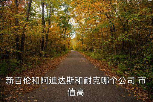 運(yùn)動市值排行榜,耐克三個知名品牌都很有名運(yùn)動品牌分析