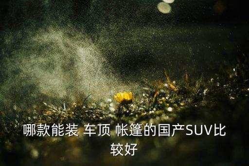 哪款能裝 車頂 帳篷的國產(chǎn)SUV比較好
