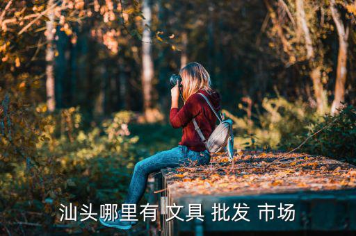 哪里有大型文具批發(fā)市場(chǎng),文具批發(fā)部門:汕頭市潮陽(yáng)區(qū)貴嶼鎮(zhèn)