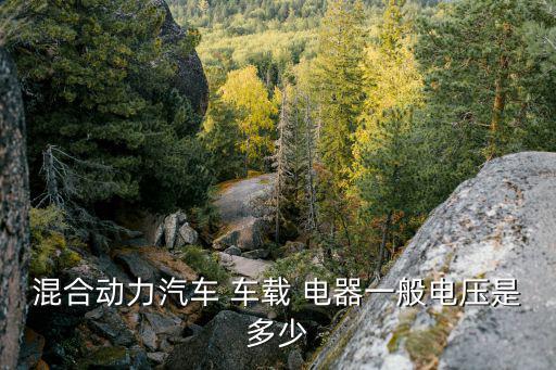 混合動(dòng)力汽車(chē) 車(chē)載 電器一般電壓是多少