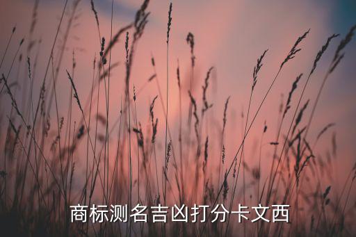  商標(biāo)測(cè)名吉兇打分卡文西