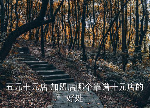 10元加盟店,開(kāi)一家10元店需要付多少錢(qián)?自己考察一下
