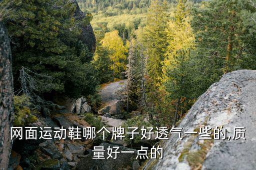 網(wǎng)上體育用品哪個(gè)好,買(mǎi)耐克球鞋要從包裝和材料決定價(jià)格