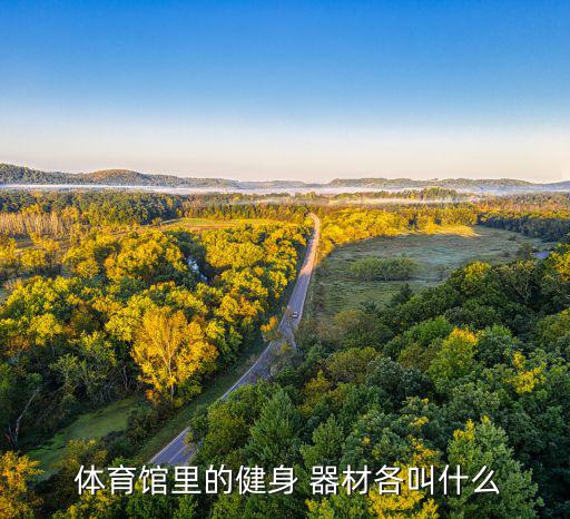  體育館里的健身 器材各叫什么