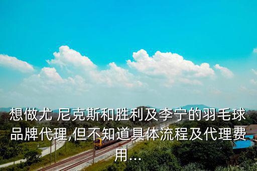 想做尤 尼克斯和勝利及李寧的羽毛球品牌代理,但不知道具體流程及代理費用...