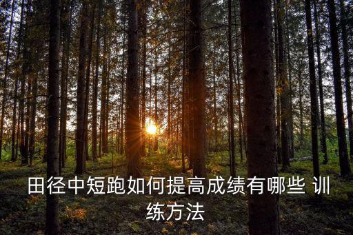 田徑的輔助訓(xùn)練有哪些,短跑和馬拉松運(yùn)動(dòng)項(xiàng)目介紹一下!