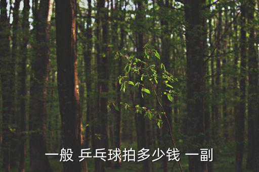 一般 乒乓球拍多少錢 一副
