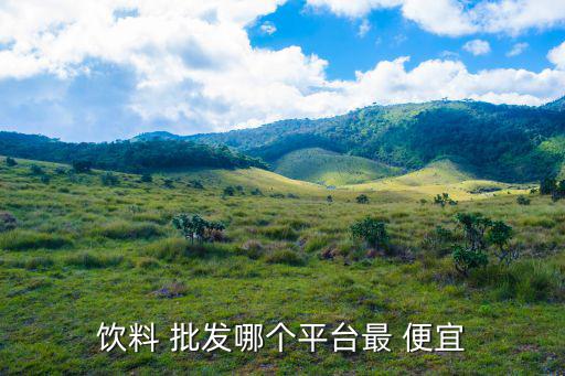 飲料 批發(fā)哪個(gè)平臺(tái)最 便宜