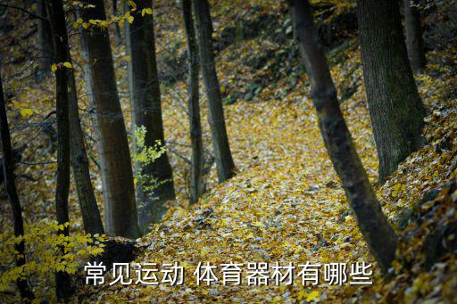 常見運動 體育器材有哪些