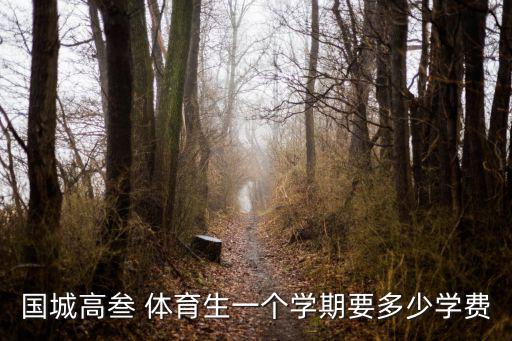 國(guó)城高叁 體育生一個(gè)學(xué)期要多少學(xué)費(fèi)